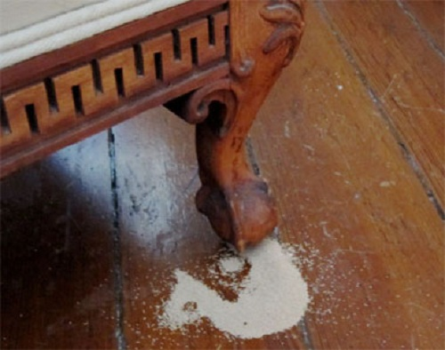 cách chống mối mọt cho nội thất bằng gỗ 
