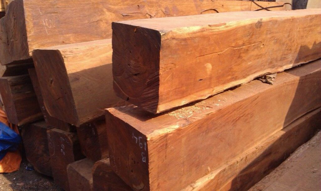 Top 5 loại gỗ tự nhiên thường dùng trong sản xuất đồ gỗ nội thất